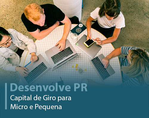 Captação de Recursos - DESENVOLVE PR